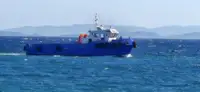 زورق السحب للبيع