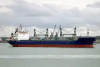 الناقل السائبة للبيع