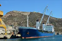 الناقل السائبة للبيع