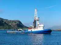 زورق السحب للبيع