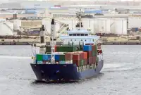 الناقل السائبة للبيع