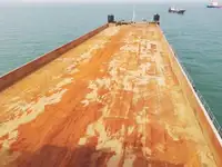 الناقل السائبة للبيع