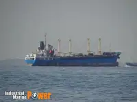 الناقل السائبة للبيع