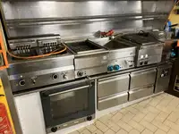 الناقل السائبة للبيع