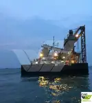 الناقل السائبة للبيع