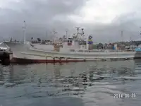 سفينة الخيوط الطويلة للبيع